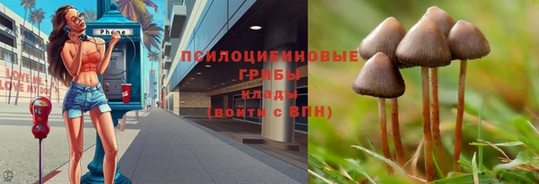 винт Каменск-Шахтинский