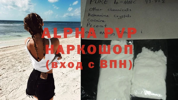 каннабис Каменногорск