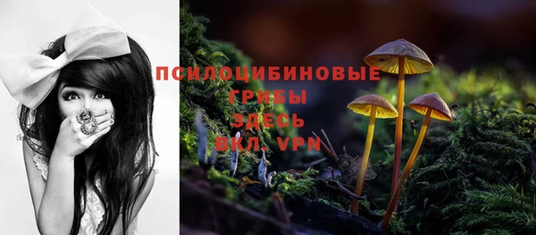 винт Каменск-Шахтинский