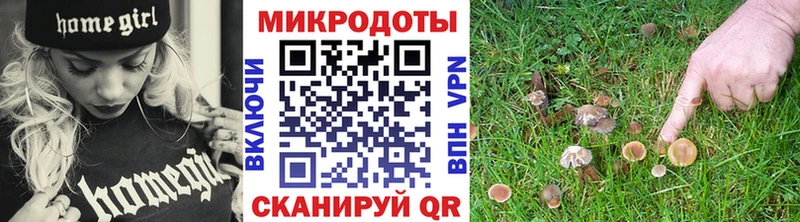 Галлюциногенные грибы Magic Shrooms  Купить  Камбарка 